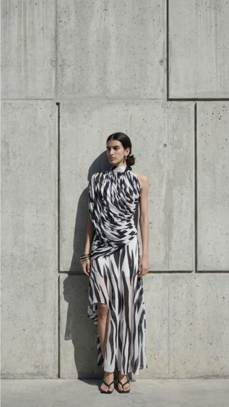 DEME FALL PRE ORDER  Zebra Dress 
